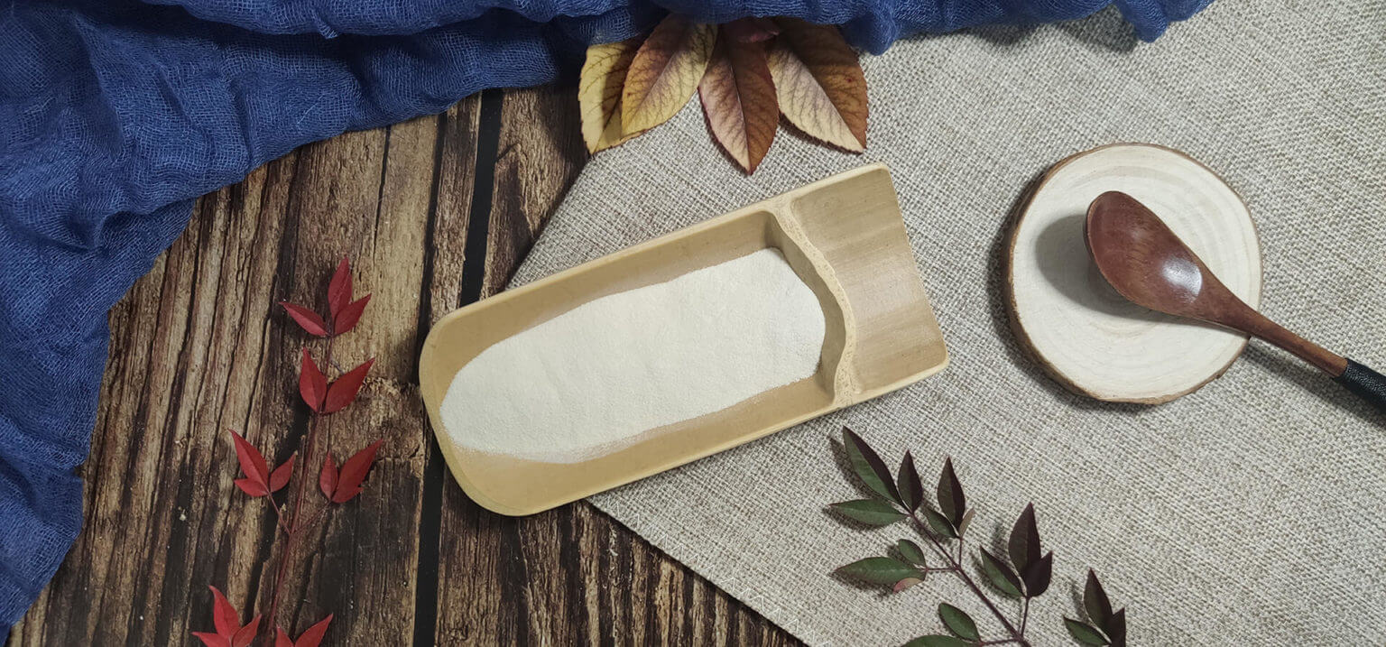 5 Key Points of Food Stabilizers (Blends & Systems) Market Gino Gums