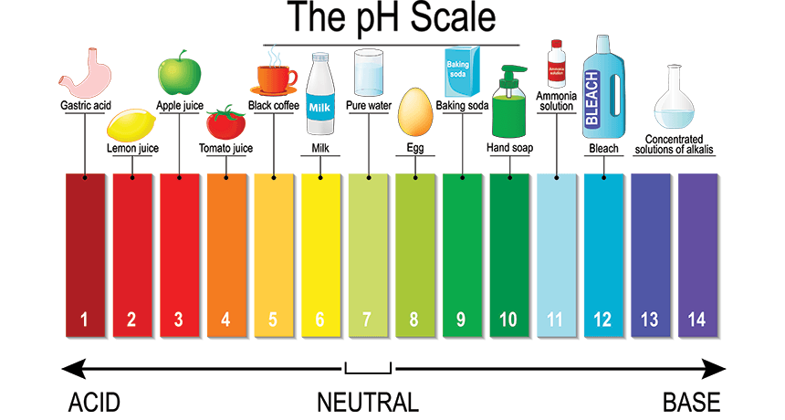 THE PH SCALE