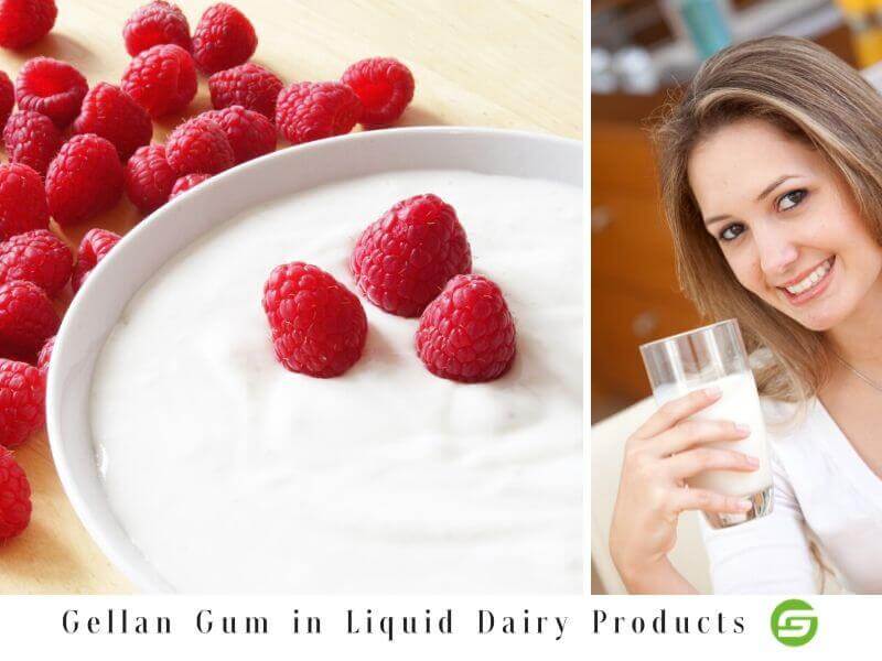 Gellan Gum in Liquid Dairy Products