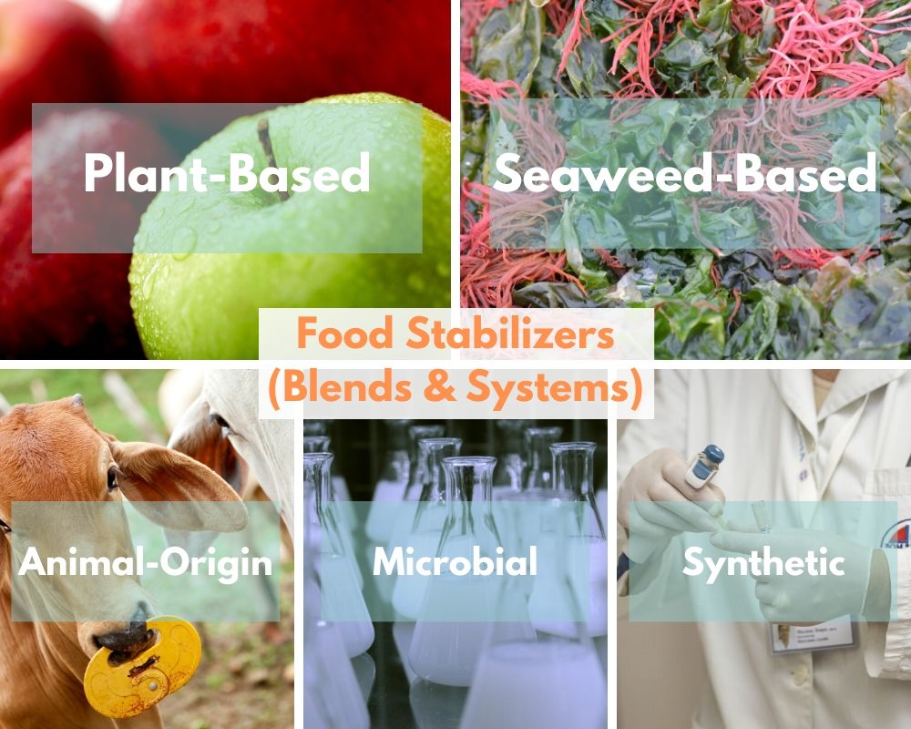 Food Stabilizers (Blends & Systems) groups: Plant-based gums, Animal-origin gums, seaweed-based gums, microbial gums, Synthetic gums