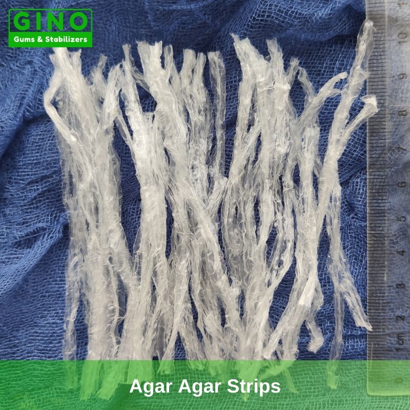 Agar Strips_Agar Agar Manufacturers in China (1) - Gino Gums Stabilizers