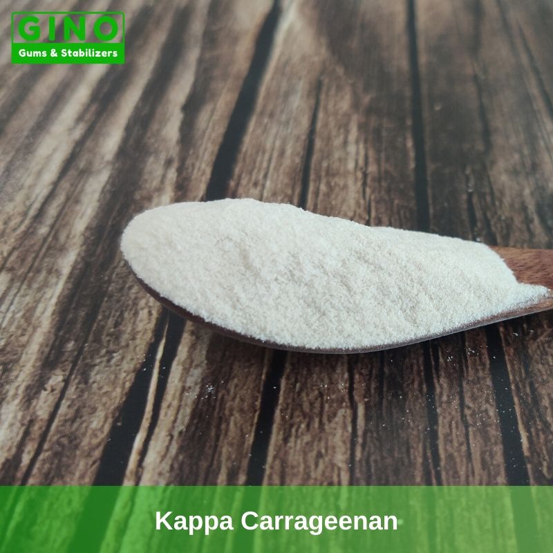 Kappa Carrageenan 2020 Supplier Manufacturer in China(3) - Gino Gums Stabilizers