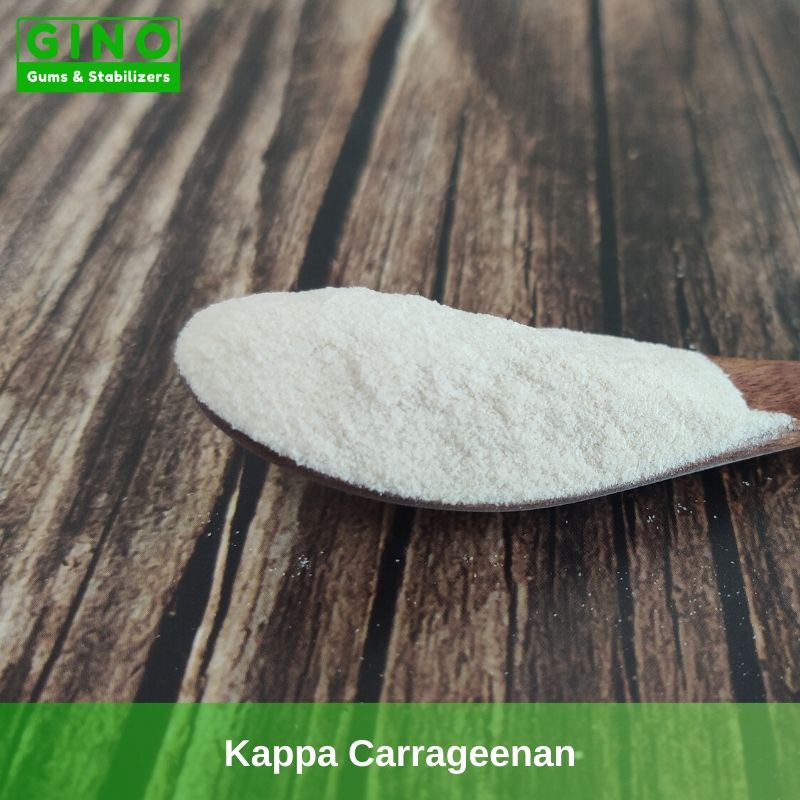 Kappa Carrageenan Suppliers | Best-selling Carrageenan