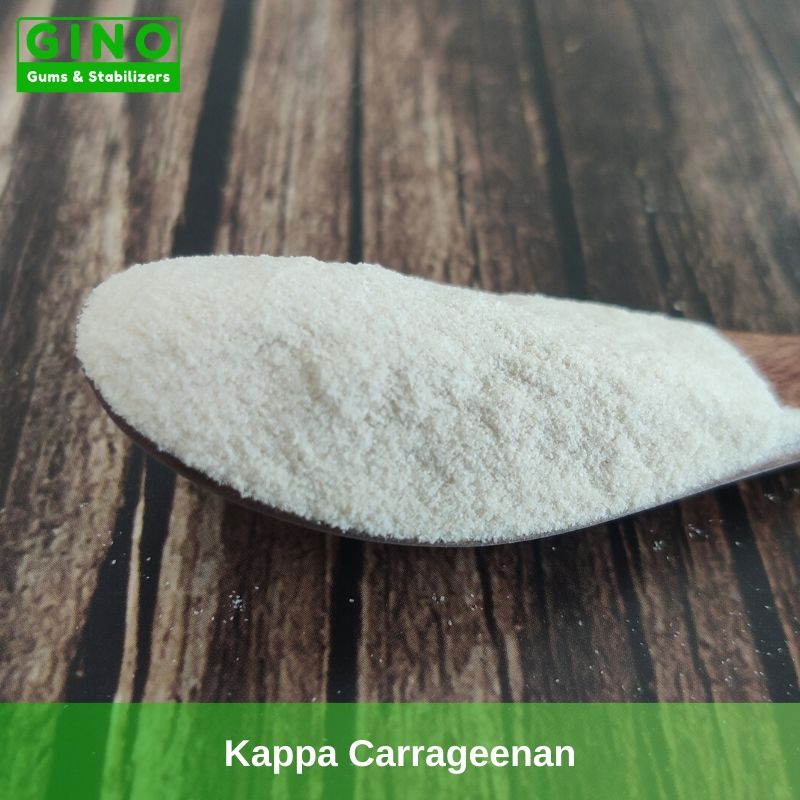 Kappa Carrageenan 2020 Supplier Manufacturer in China(4) - Gino Gums Stabilizers