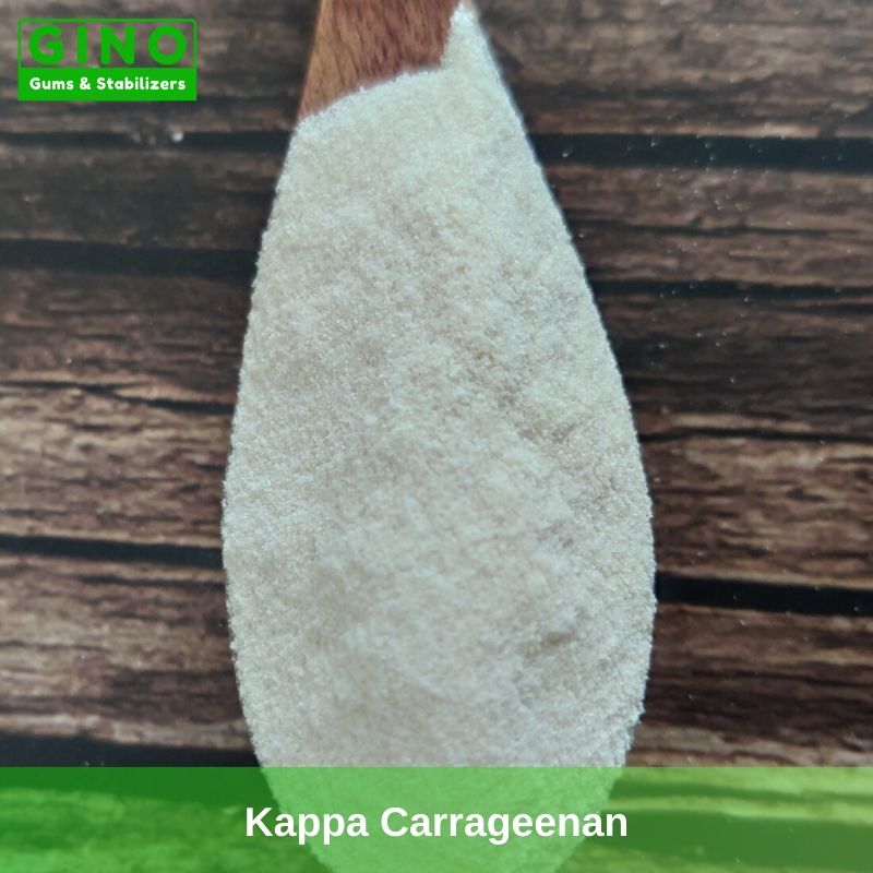 Kappa Carrageenan Suppliers Manufacturer in China(2) - Gino Gums Stabilizers