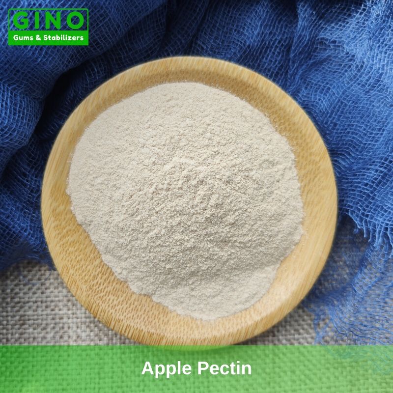 Apple Pectin 2020 Supplier Manufacturer in China (3) - Gino Gums Stabilizers