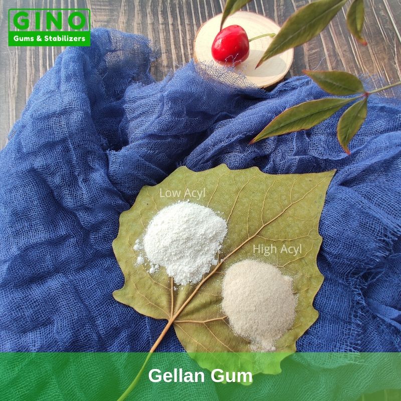 Gellan Gum Manufacturer Supplier in China(1) - Gino Gums Stabilizers