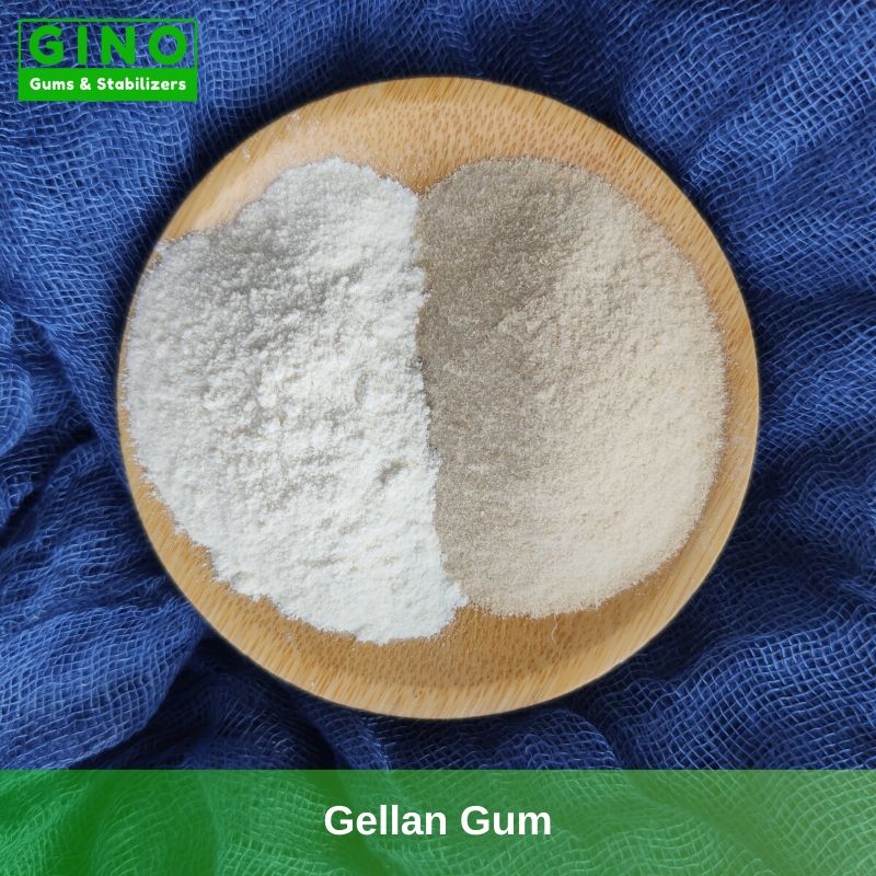 Welan Gum