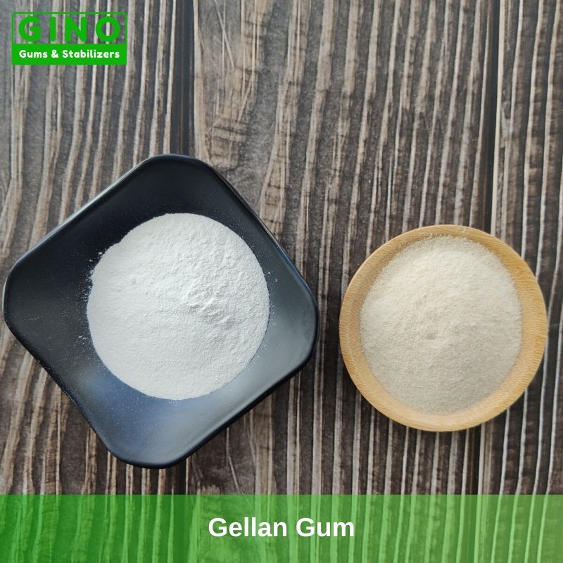 Gellan Gum 2020 Supplier Manufacturer in China(4) - Gino Gums Stabilizers