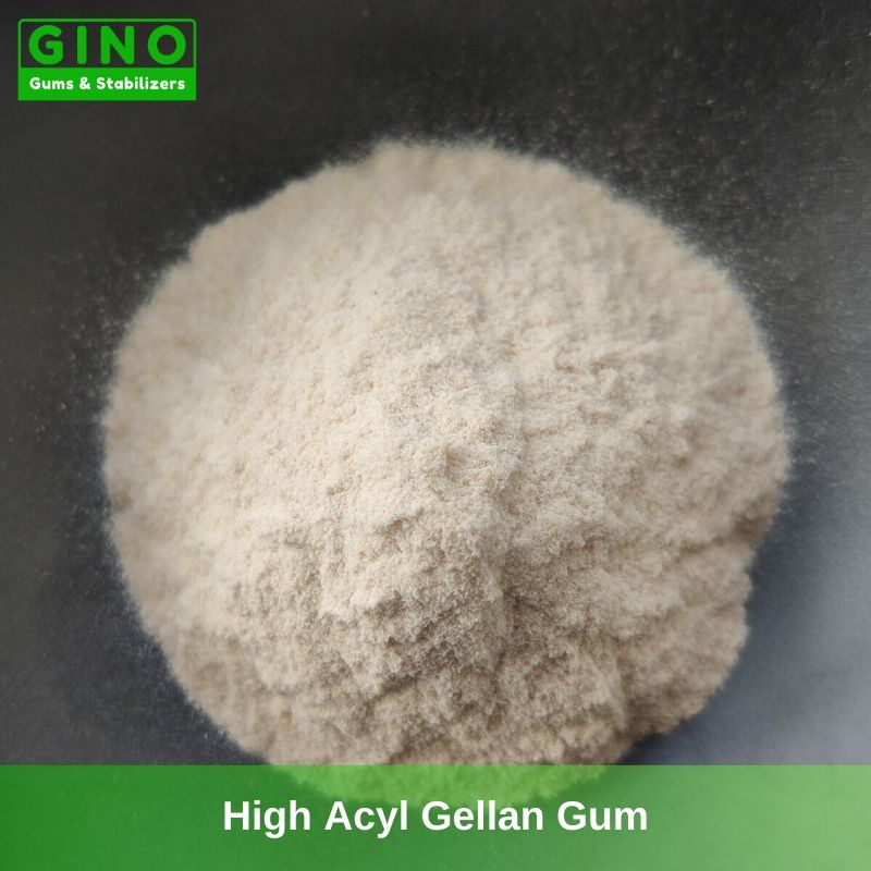 High Acyl Gellan Gum Supplier Manufacturer in China(4) - Gino Gums Stabilizers