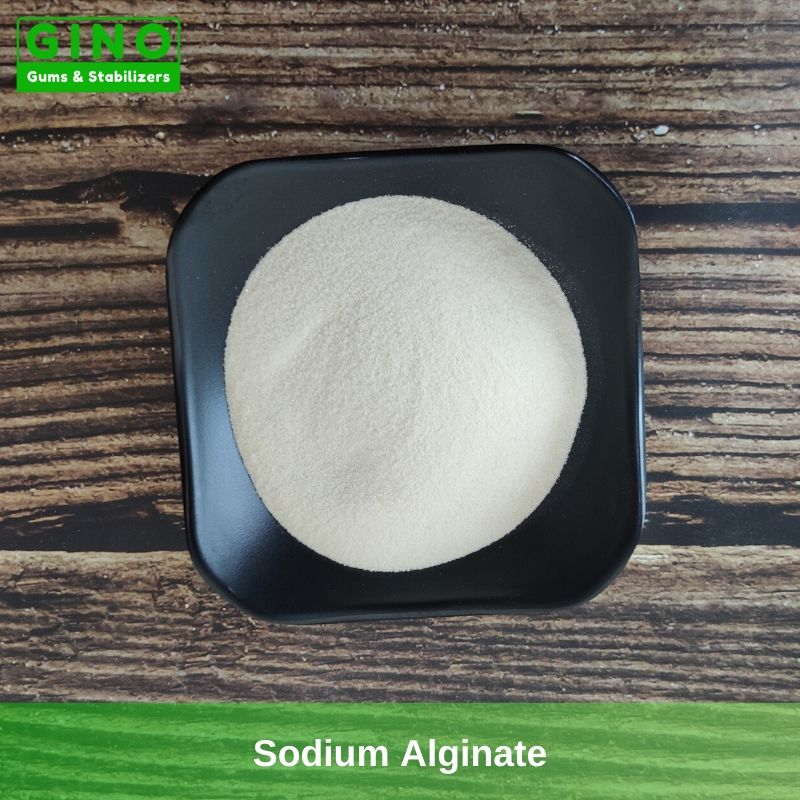 Sodium Alginate 2020 Supplier Manufacturer in China(2) - Gino Gums Stabilizers