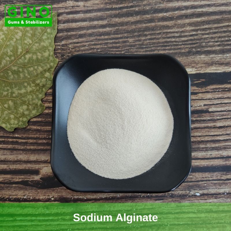 Alginate de sodium (E401) - 50gr – SaporePuro