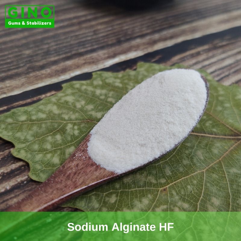 E401 Food Grade Sodium Alginate Powder in China - Gino Gums