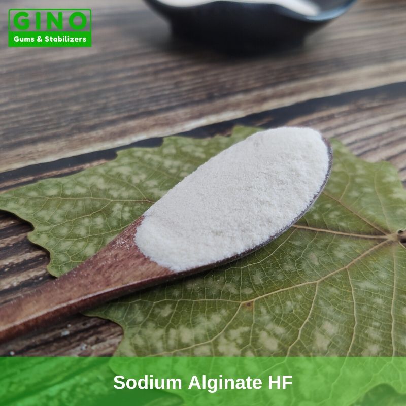 Sodium Alginate HF Supplier Manufacturer in China(2) - Gino Gums Stabilizers