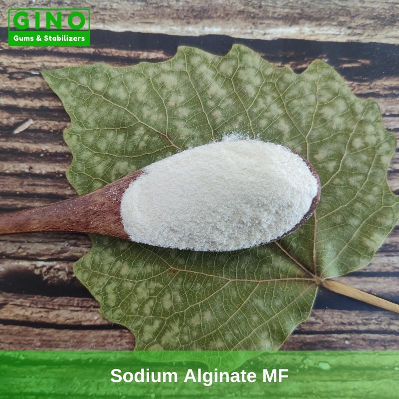 Sodium Alginate MF Supplier Manufacturer in China(1) - Gino Gums Stabilizers