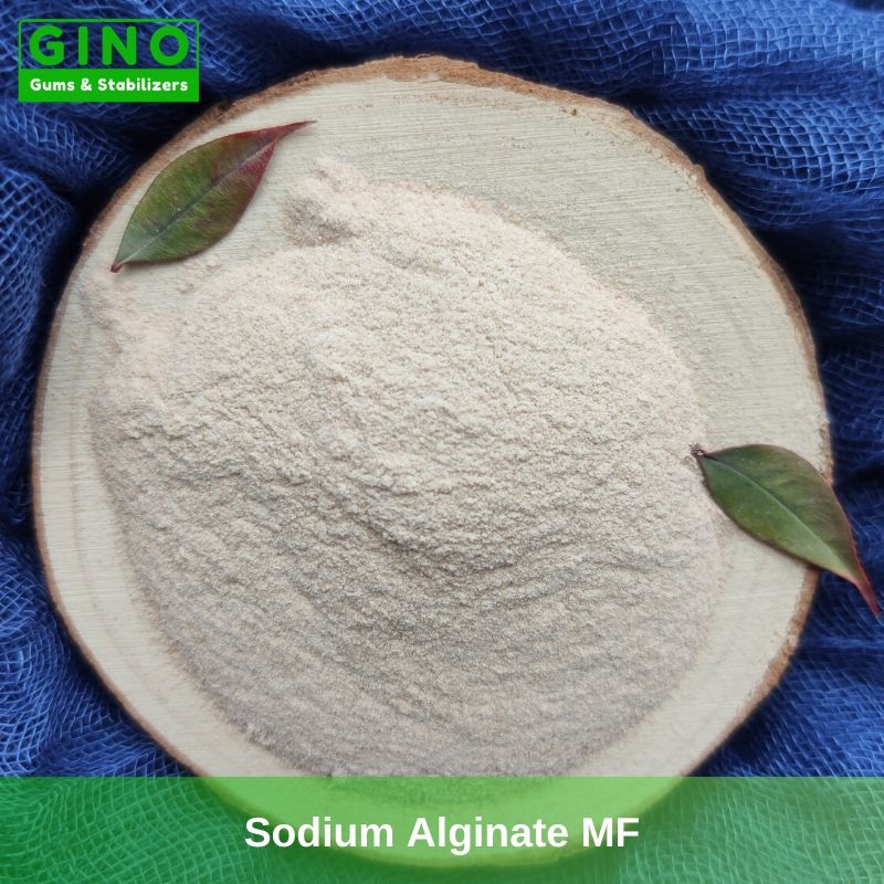Sodium Alginate Manufacturers China(3) - Gino Gums Stabilizers