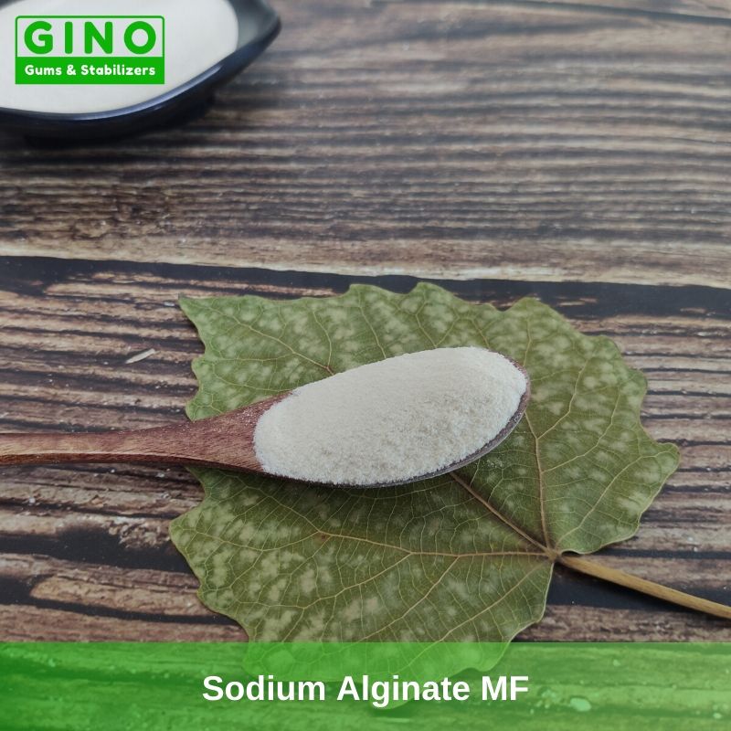 E401 Food Grade Sodium Alginate Powder in China - Gino Gums