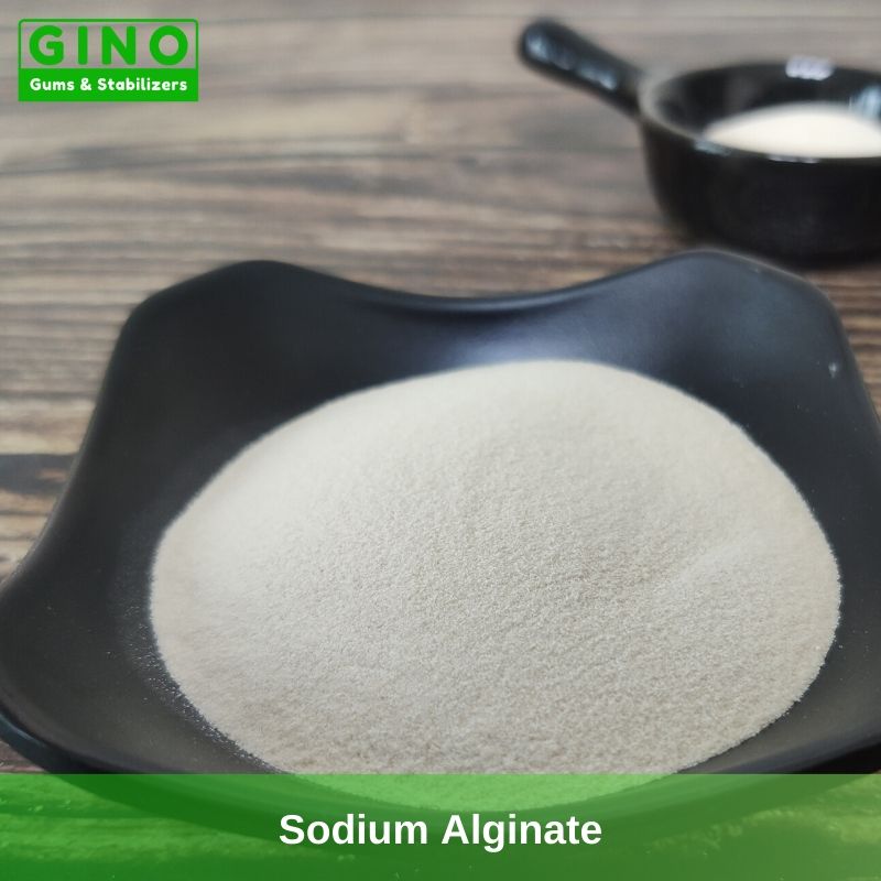 Sodium Alginate 2020 Supplier Manufacturer in China(1) - Gino Gums Stabilizers