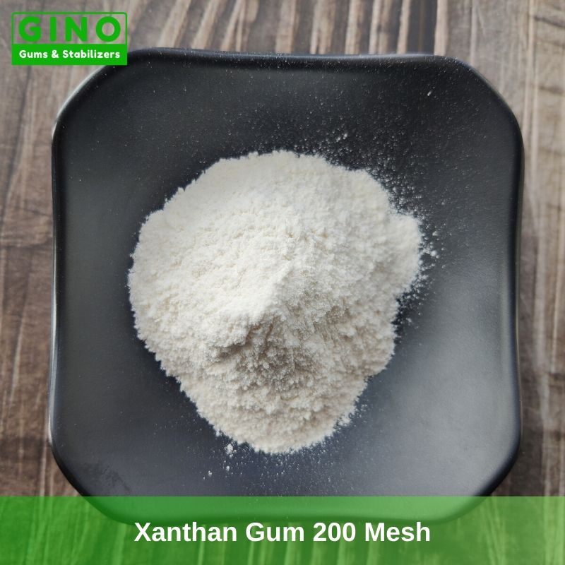 Xanthan Gum producer 200 Mesh in China (3) - Gino Gums Stabilizers