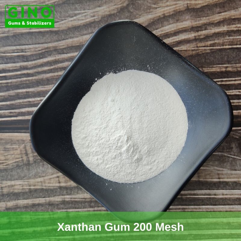 Xanthan Gum 200 Mesh Supplier Manufacturer in China (4) - Gino Gums Stabilizers