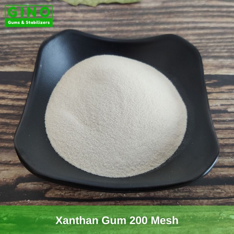 Xanthan Gum 200 Mesh Supplier Manufacturer in China (2) - Gino Gums Stabilizers