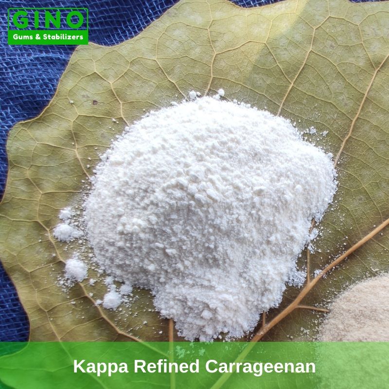 White refined Kappa Carrageenan Supplier Manufacturers in China
