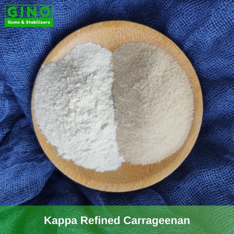 Kappa Carrageenan Powder- Refined Kappa Carrageenan Powder