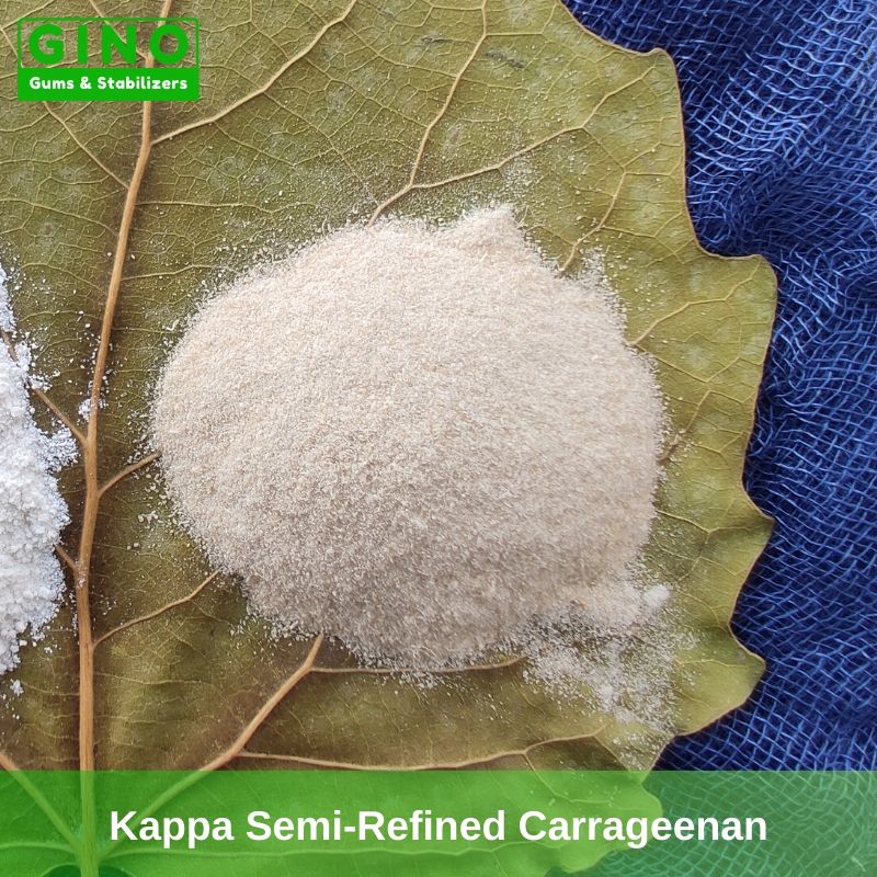 Yellowish Kappa Semi-Refined Carrageenan Powder Supplier Manufacturer in China