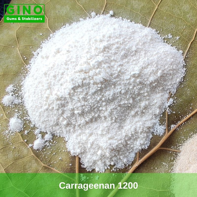 High Gel Strength Carrageenan Powder 1200 g/cm2 Supplier Manufacturer in China