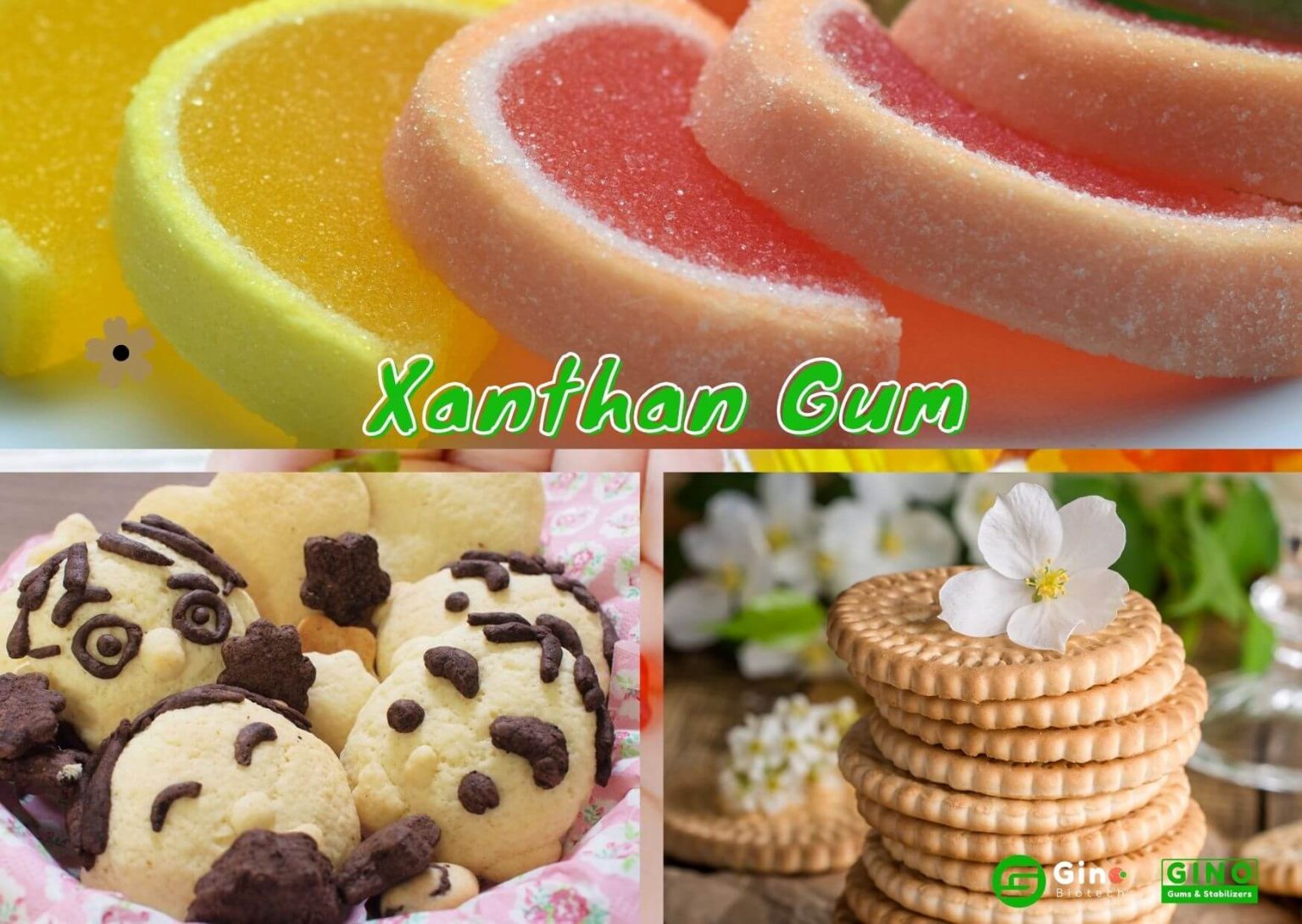 Xanthan Gum Uses in Food 5 Useful Parts You Should Know