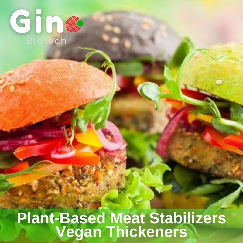 Gino Biotech- Plant-based Meat Stabilizers Vegan Thickeners (1)