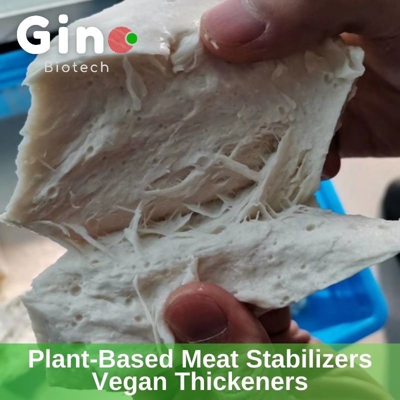Gino Biotech- Plant-based Meat Stabilizers Vegan Thickeners (9)