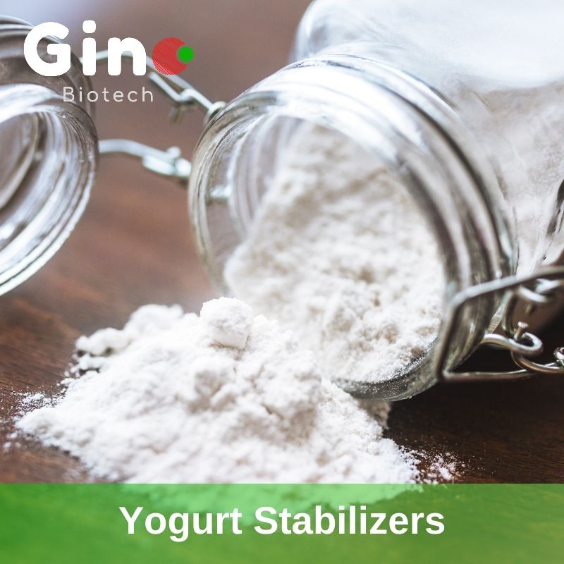 Gino Biotech- Yogurt Stabilizers (1)