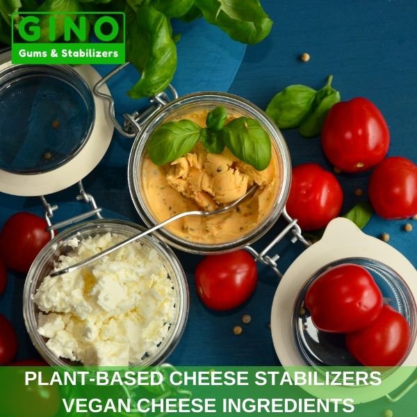 Plant-Based Cheese Stabilizers _ Vegan Cheese Ingredients (10)