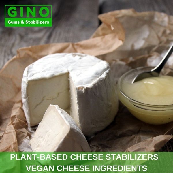 Plant-Based Cheese Stabilizers _ Vegan Cheese Ingredients (3)