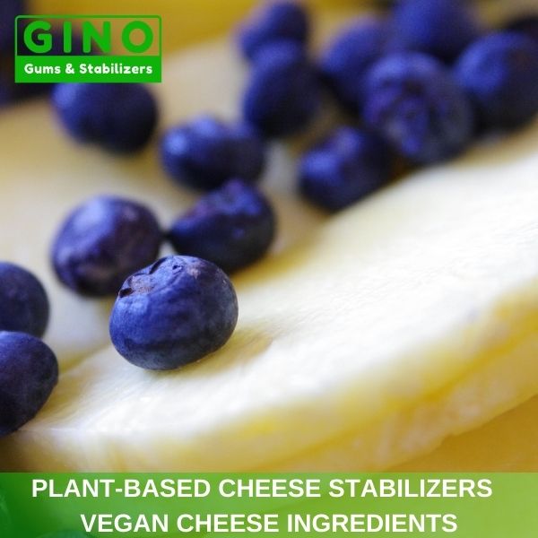 Plant-Based Cheese Stabilizers _ Vegan Cheese Ingredients (5)