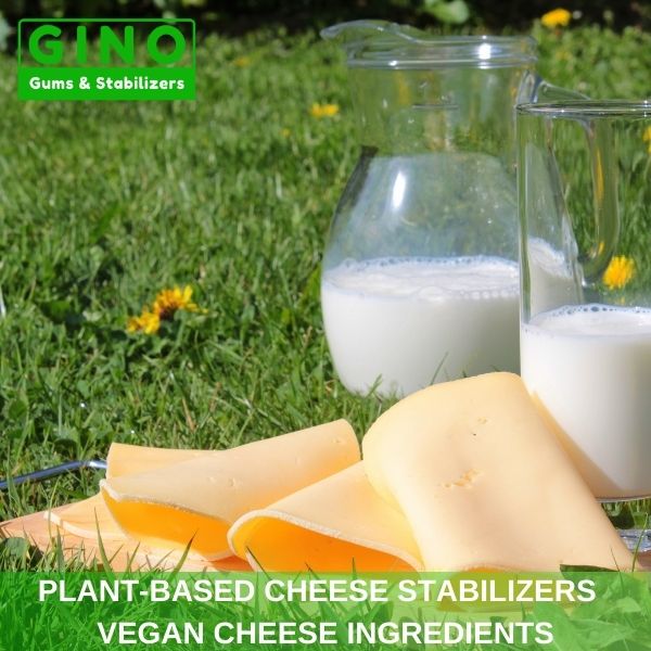 Plant-Based Cheese Stabilizers _ Vegan Cheese Ingredients (9)
