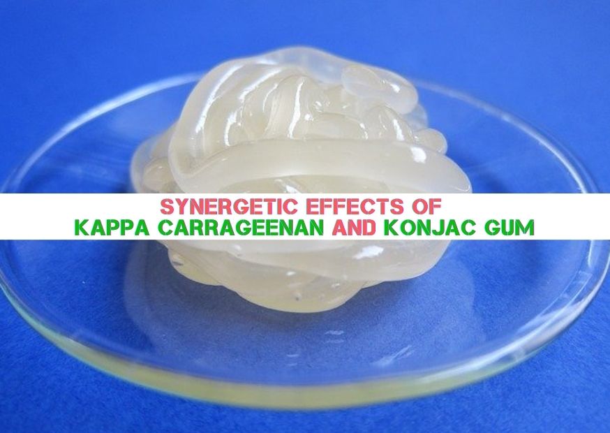 Synergetic Effects of Kappa Carrageenan and Konjac Gum (1)
