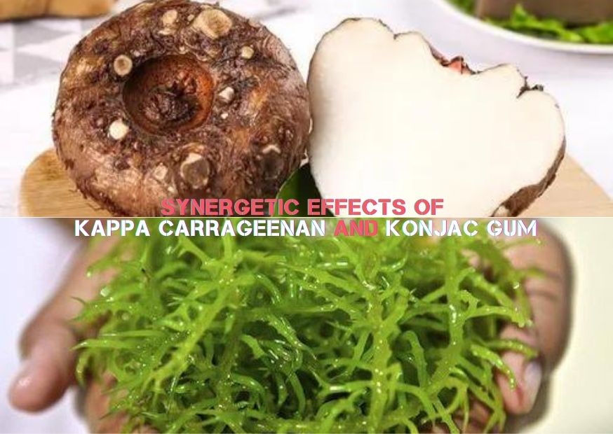 Synergetic Effects of Kappa Carrageenan and Konjac Gum (2)
