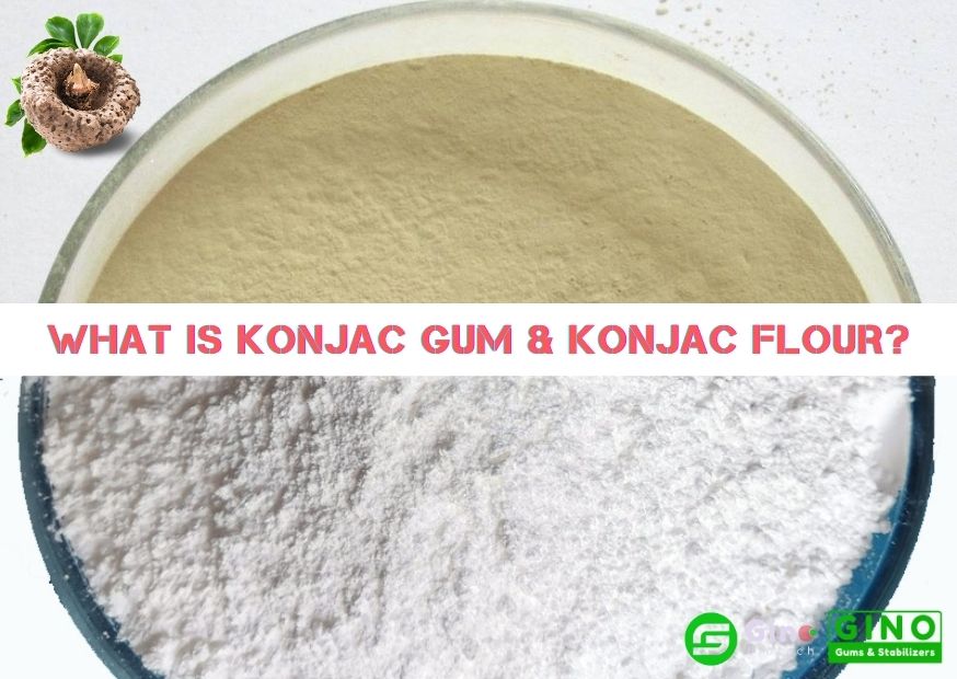 What is konjac gum & konjac flour (2)