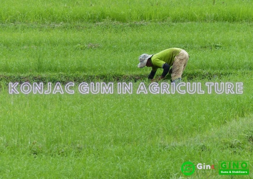 konjac gum in agriculture