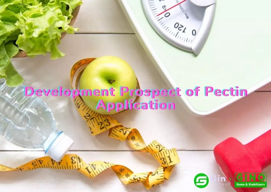 Development Prospect of Pectin Application (2)