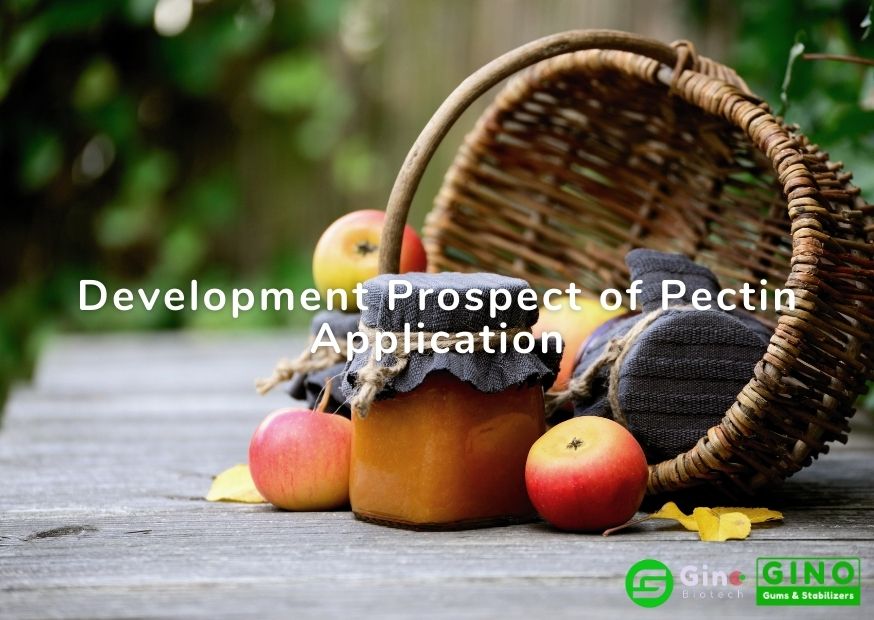 Development Prospect of Pectin Application (3)