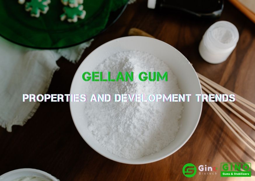 Gellan Gum Properties and Development Trends (2)