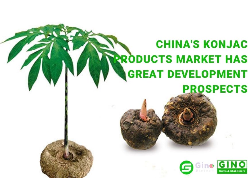 China's Konjac Products Market Has Great Development Prospects