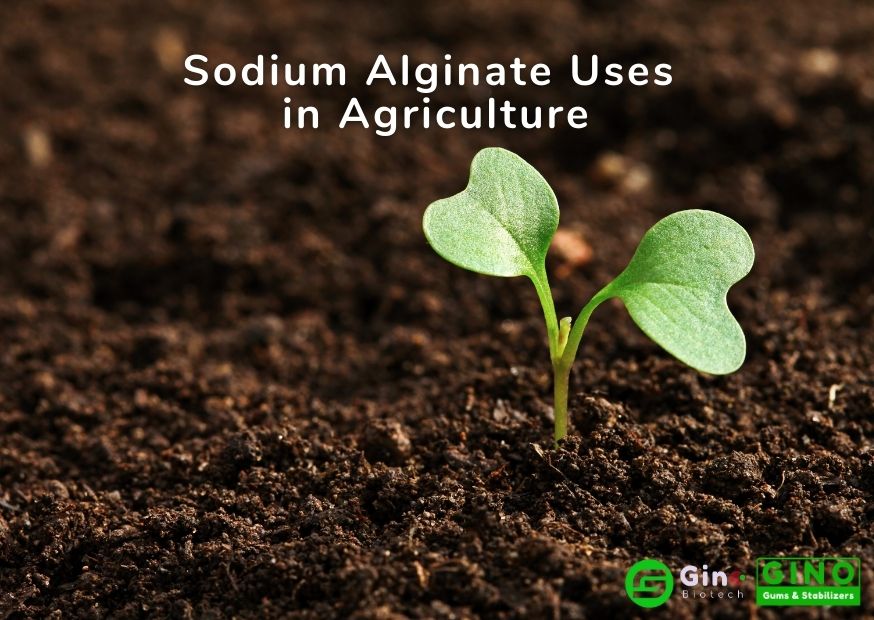sodium ainigates uses in agriculture , sodium alginate application