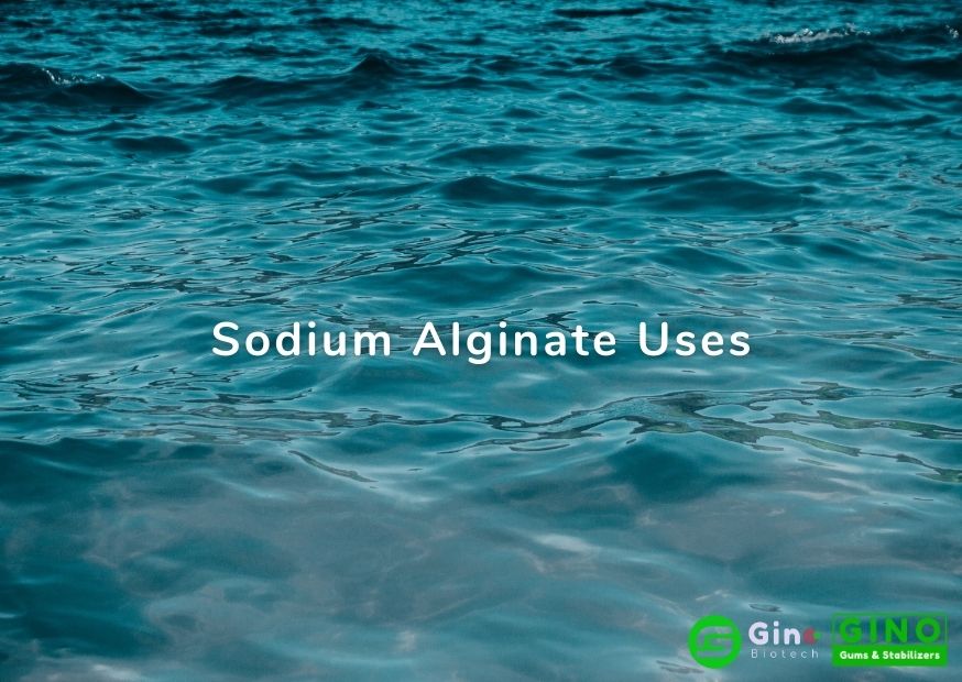 sodium ainigates uses , sodium alginate application