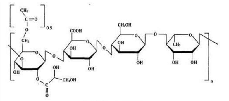 structure of high acyl gellan gum