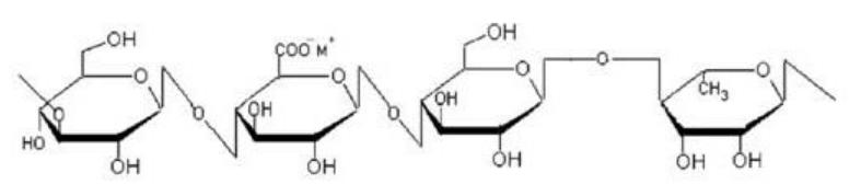 structure of low acyl gellan gum