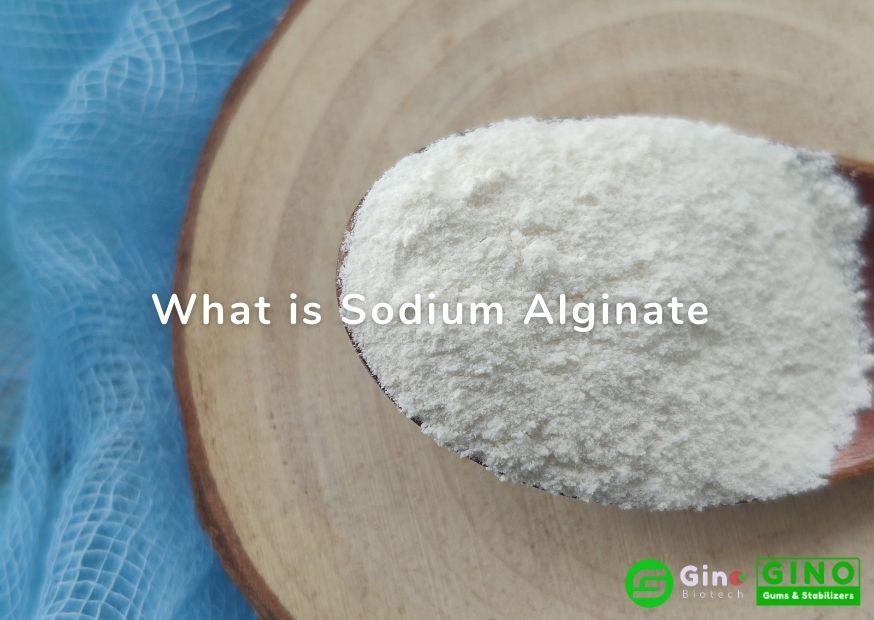 what is sodium alginate (2)